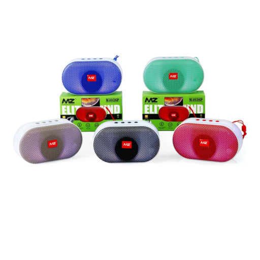 Mz M402 Wireless Bluetooth Speaker