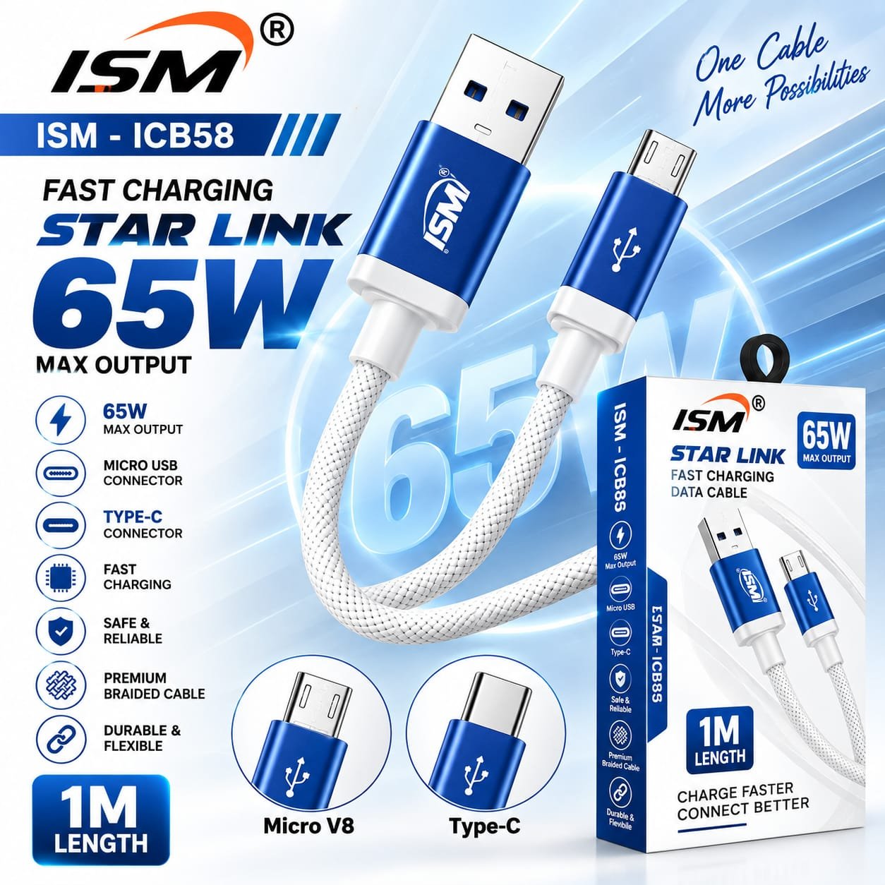 ISM ICB58 65W Type c Data Cable 1 Year Warranty